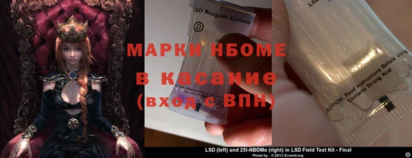 стаф Алзамай