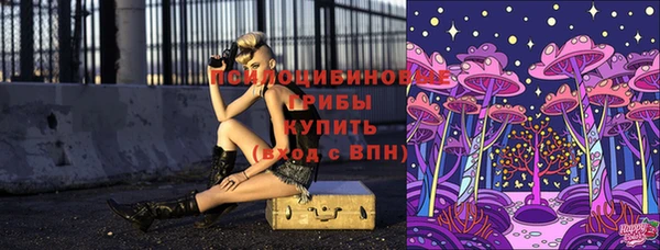стаф Алзамай