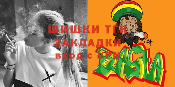 стаф Алзамай