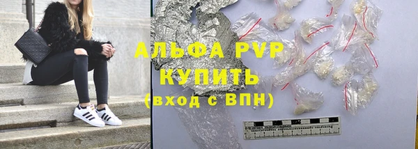 стаф Алзамай